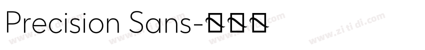 Precision Sans字体转换